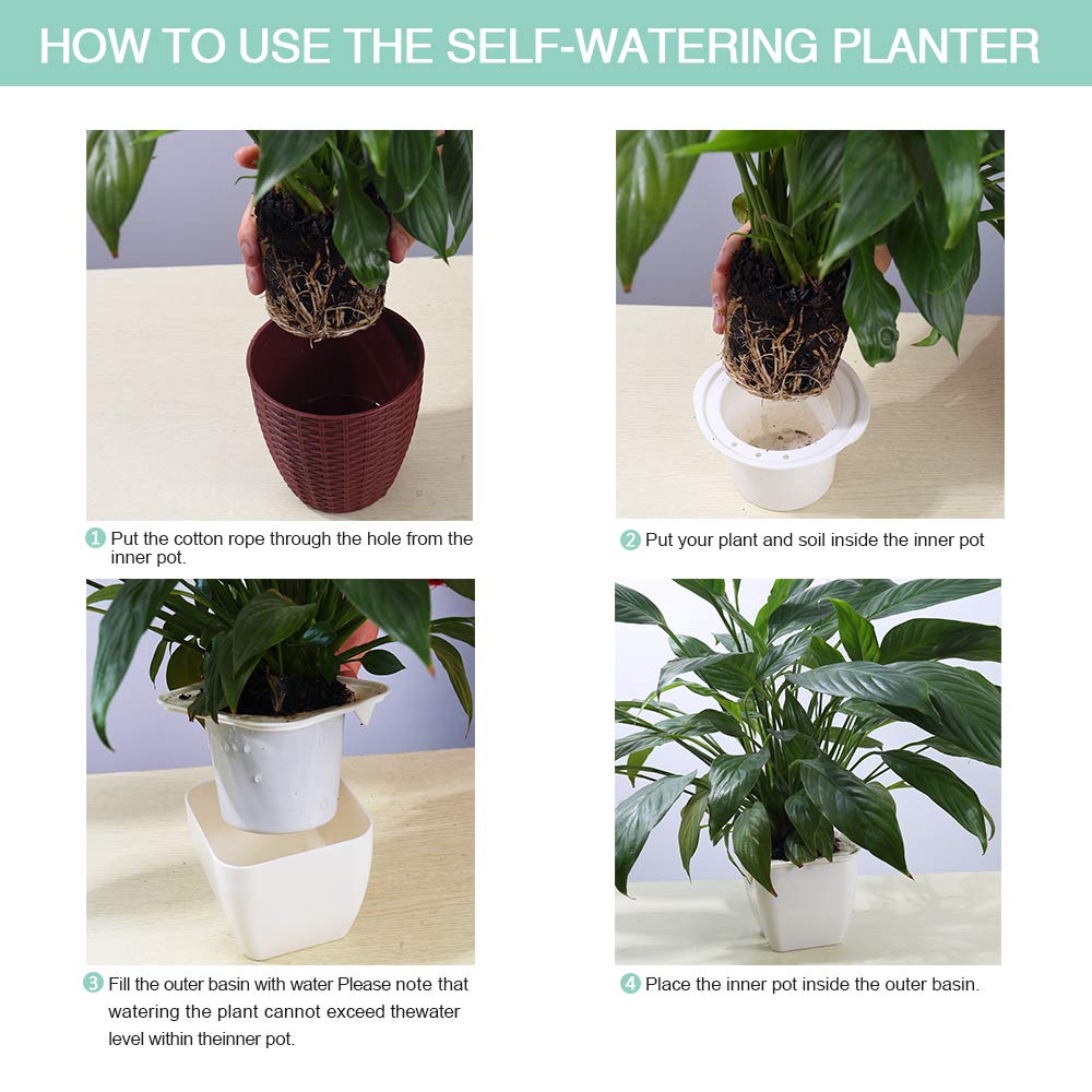 Self Watering Planter , FENGZHITAO African Violet Pots, Clear Plastic Automatic-Watering Planter Flower Pot Square Plant Pot for All House Plants, Succulents, Herb, African Violets (3 Packs Small)