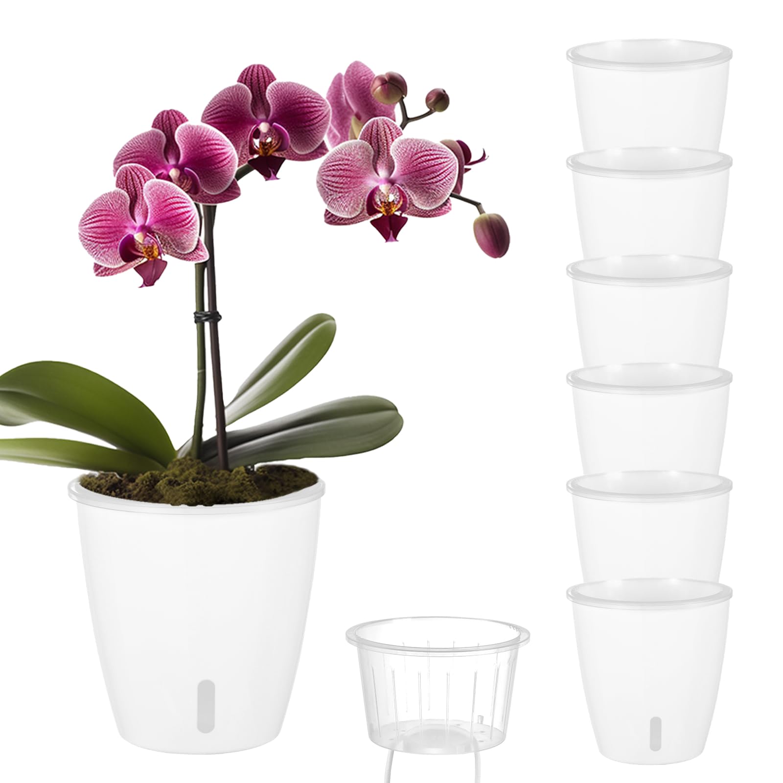 Self Watering Pots for Indoor Plants, 12-Pack 5'' Self Watering Planter with Drainage Holes, Small African Violet Pots with Water Level Indicator, Clear Wick Pot, White/Black