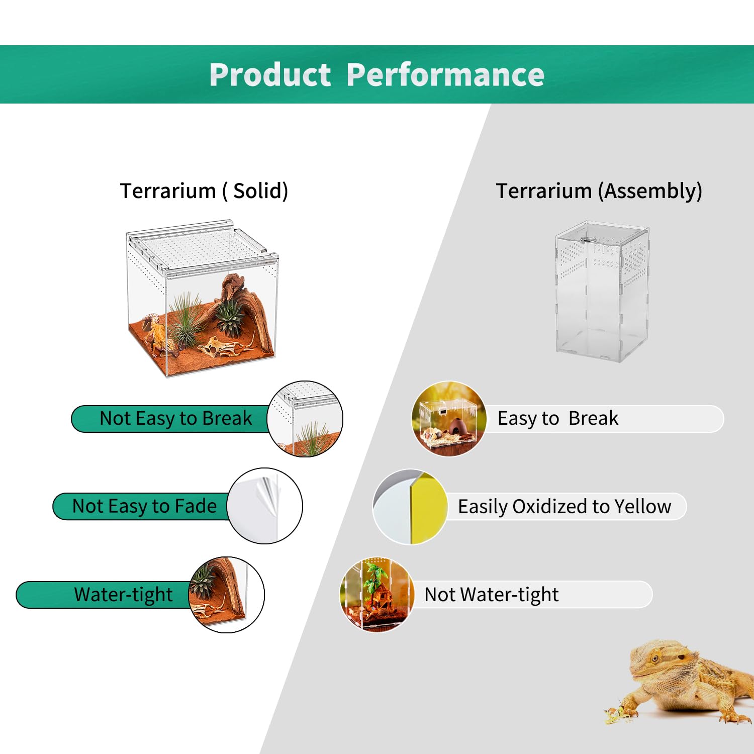 Reptile Terrarium kit,11"*6"*8" Reptile Breeding Box, Magnetic Acrylic Enclosure，for Tarantula，Hermit Crab，Jumping Spider，Iguana，Leopard Gecko，Bearded Dragon, Insect, Mantis, Scorpions.