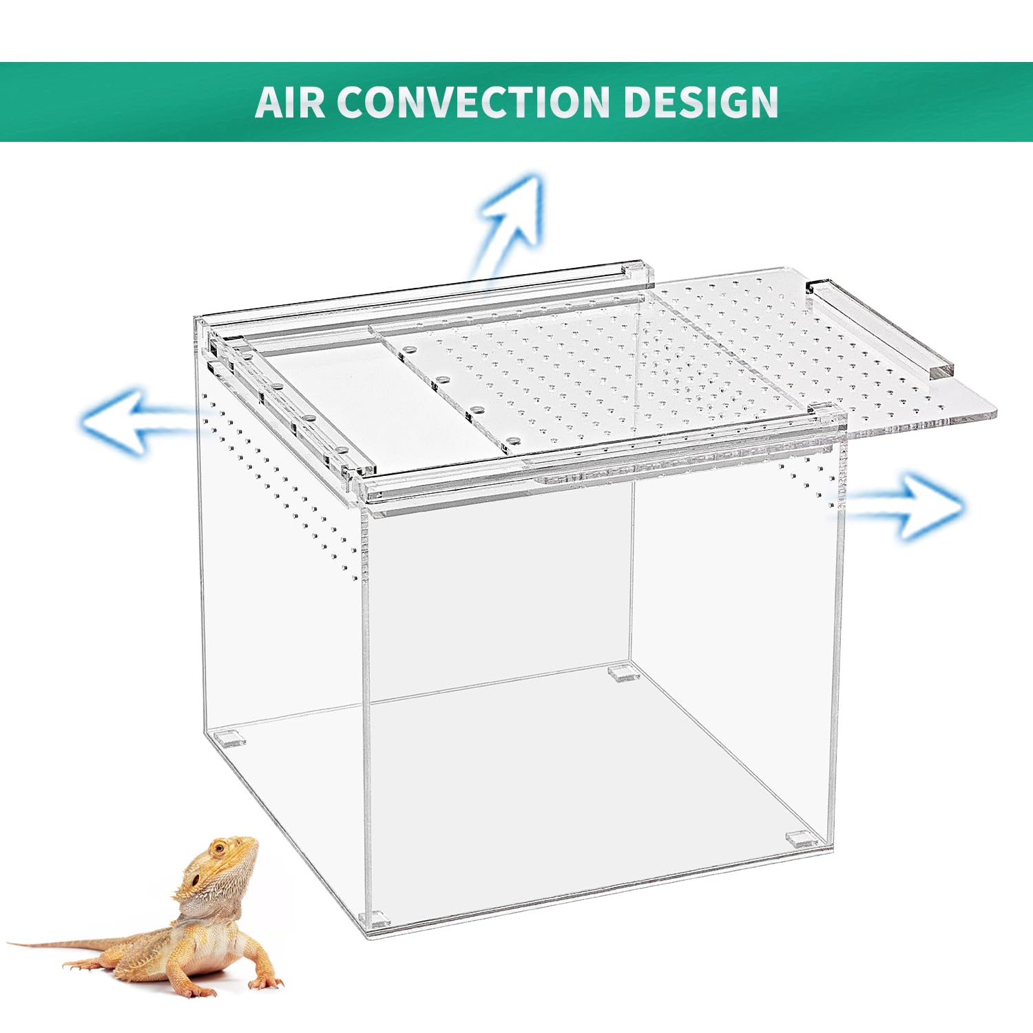 Reptile Terrarium kit,11"*6"*8" Reptile Breeding Box, Magnetic Acrylic Enclosure，for Tarantula，Hermit Crab，Jumping Spider，Iguana，Leopard Gecko，Bearded Dragon, Insect, Mantis, Scorpions.