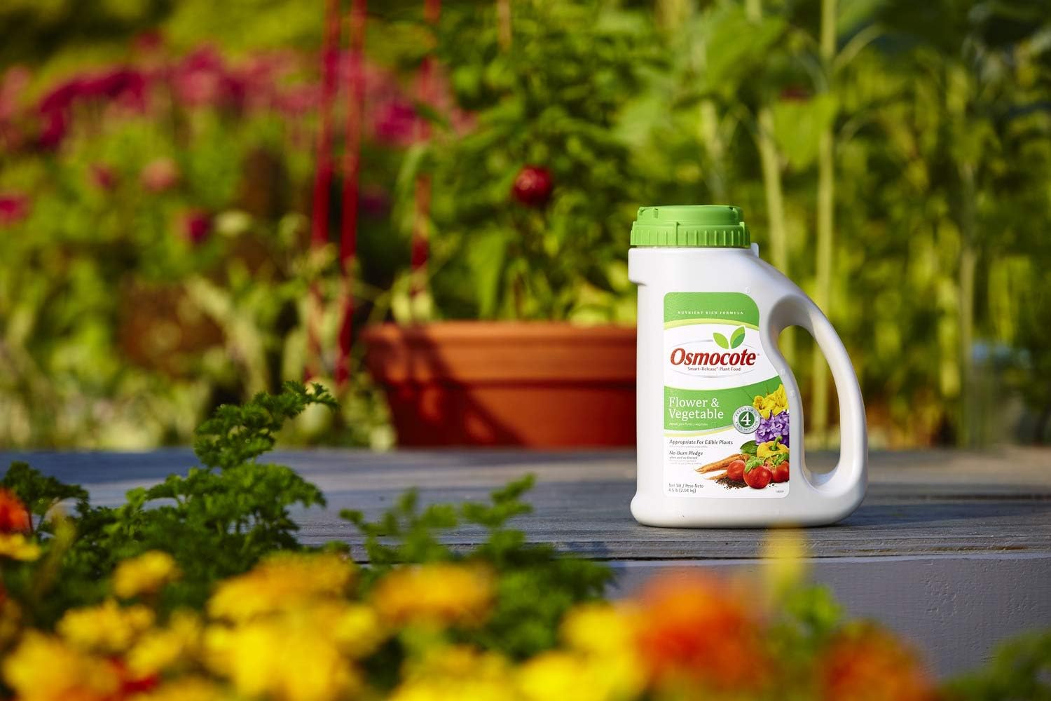 Osmocote Smart-Release Plant Food Plus Outdoor & Indoor1 - Granular, Continuous Release Plant Fertilizer with 11 Essential Nutrients, 2 lbs.