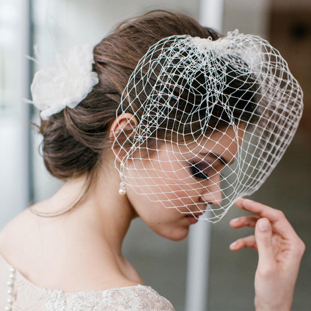 BENECREAT 3.28Yards Veil Mesh Fabric 10inch Wide Net Mesh Fabric Birdcage Bridal Veil for Wedding Veil Wedding Hat Decorating