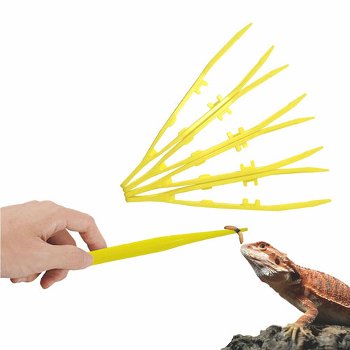 5-Pack Reptile Feeding Tongs Set - Hygienic Anti-Slip Purple Tweezers for Bearded Dragons, Lizards, Snakes, Aquariums & Small Animals(Five Colors to Choose from)