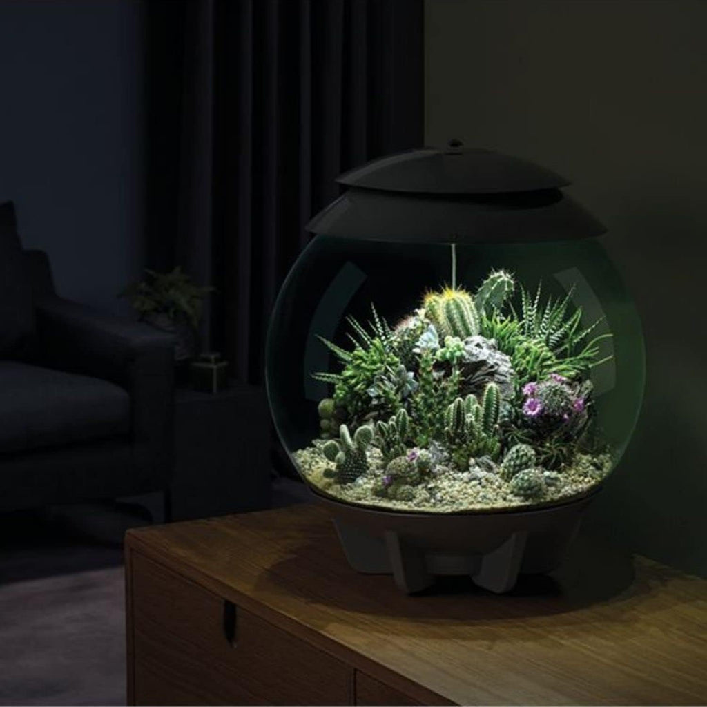 biOrb biOrbAIR 60 LED Terrarium - 16 gallon, grey,46148