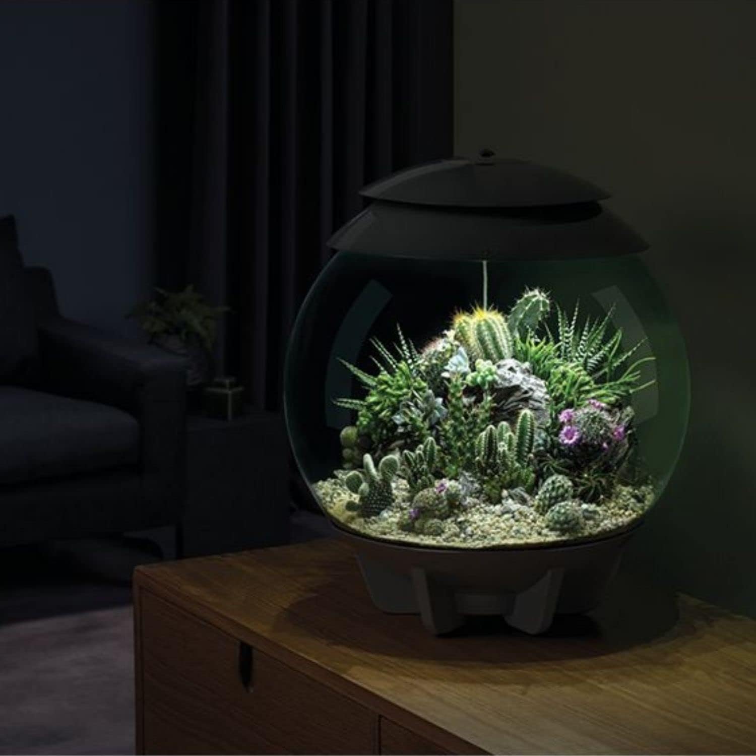 biOrb biOrbAIR 60 LED Terrarium - 16 gallon, grey,46148