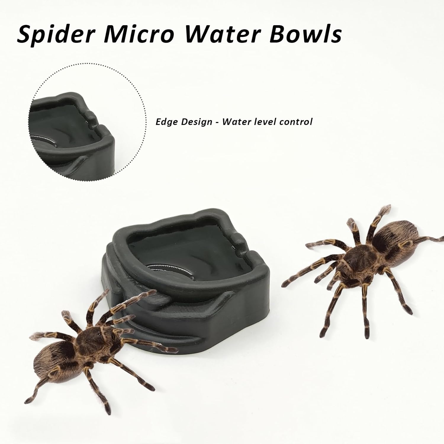 6 Pcs Spider Micro Water Bowls, Mini Resin Dish for Tarantula, Spider, Millipede and Tiny Reptiles, Food/Water Dish for Enclosure Accessories (1.65" D, 0.59" H)