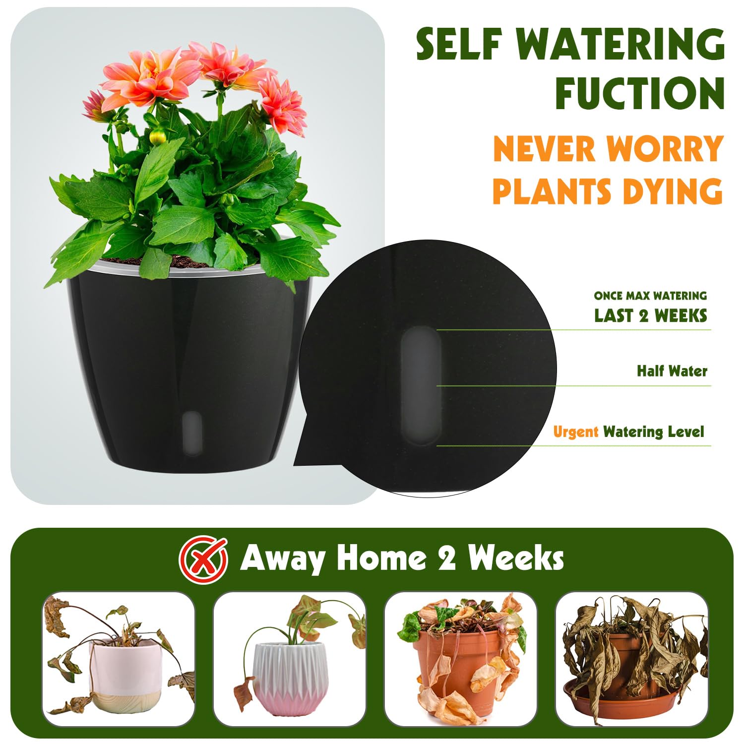 Self Watering Pots for Indoor Plants, 12-Pack 5'' Self Watering Planter with Drainage Holes, Small African Violet Pots with Water Level Indicator, Clear Wick Pot, White/Black