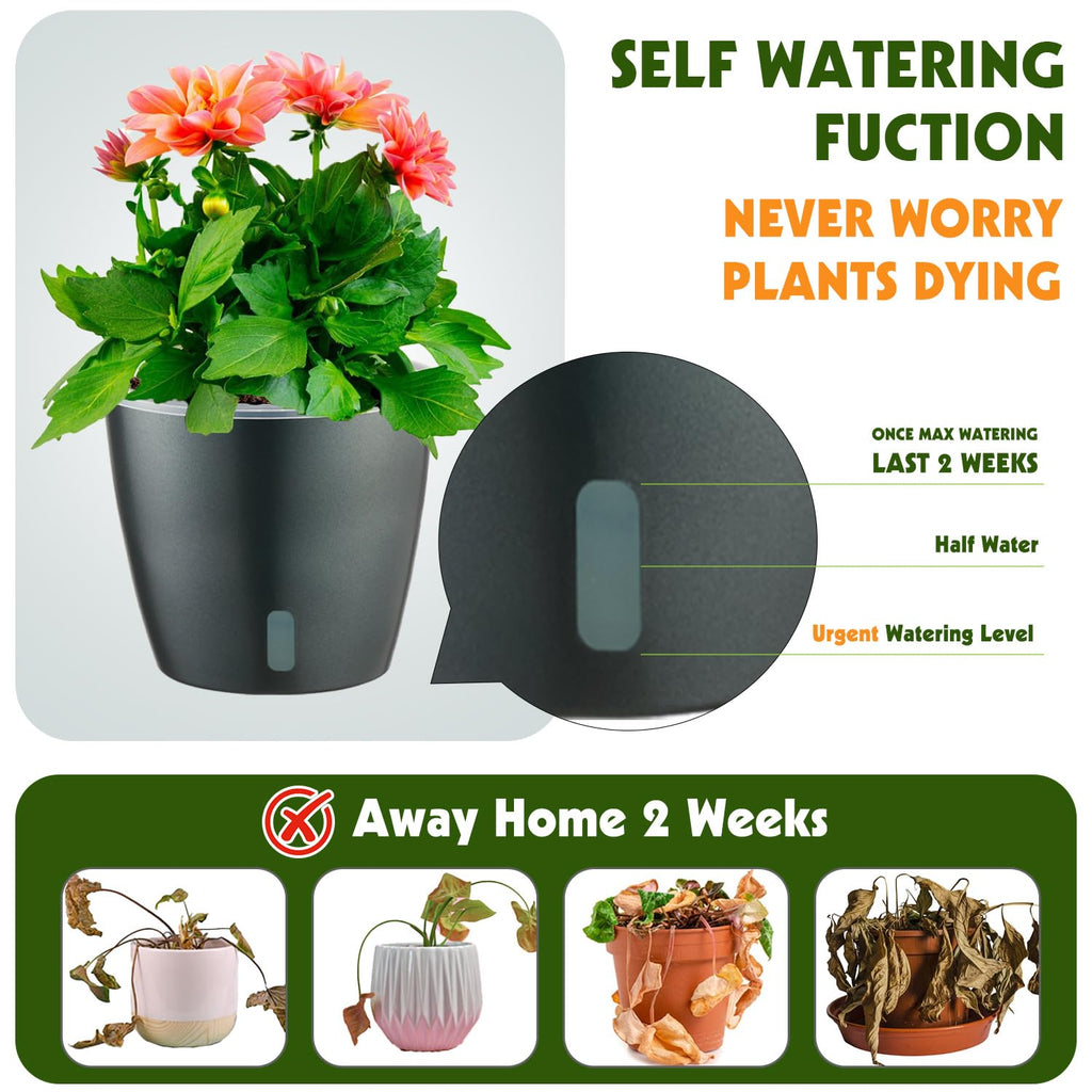 Self Watering Pots for Indoor Plants, 12-Pack 5'' Self Watering Planter with Drainage Holes, Small African Violet Pots with Water Level Indicator, Clear Wick Pot, White/Black