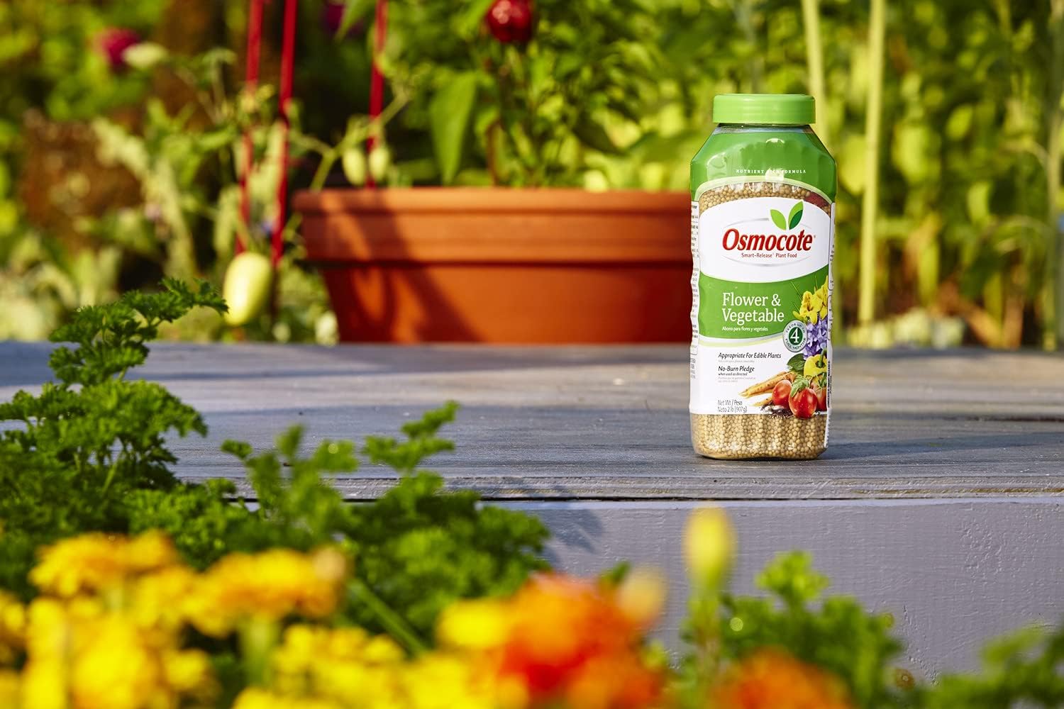 Osmocote Smart-Release Plant Food Plus Outdoor & Indoor1 - Granular, Continuous Release Plant Fertilizer with 11 Essential Nutrients, 2 lbs.