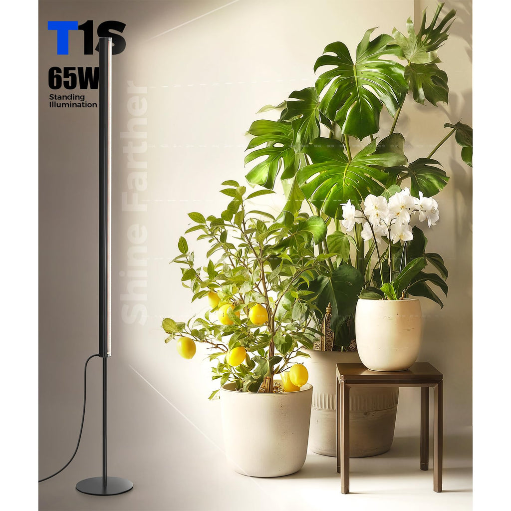 Barrina T1S Standing Grow Light for Indoor Plants with Timer, 65W 5000K High PPFD Tera Series Vertical Full Spectrum Grow Lights Adjustable Height 5FT-5.6FT, Foot Switch, Non-Glare Design, Silver