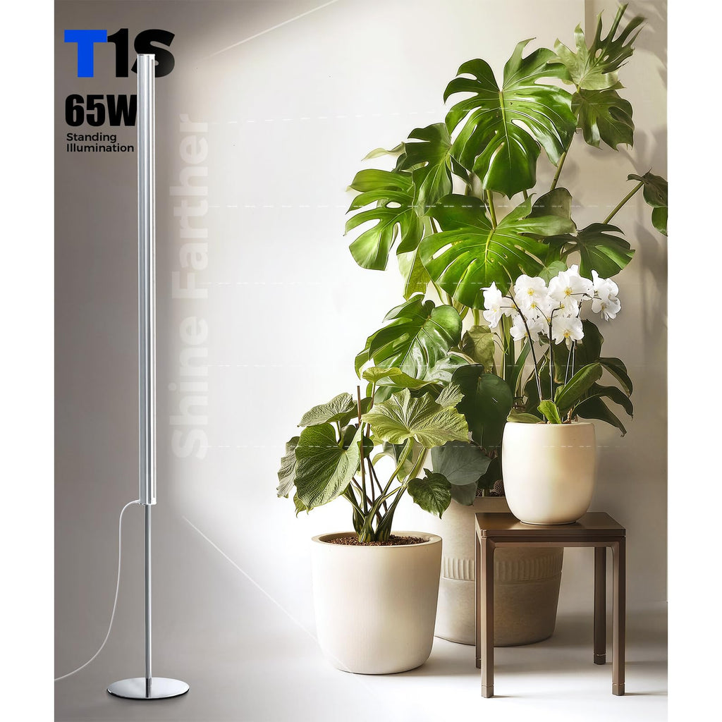 Barrina T1S Standing Grow Light for Indoor Plants with Timer, 65W 5000K High PPFD Tera Series Vertical Full Spectrum Grow Lights Adjustable Height 5FT-5.6FT, Foot Switch, Non-Glare Design, Silver