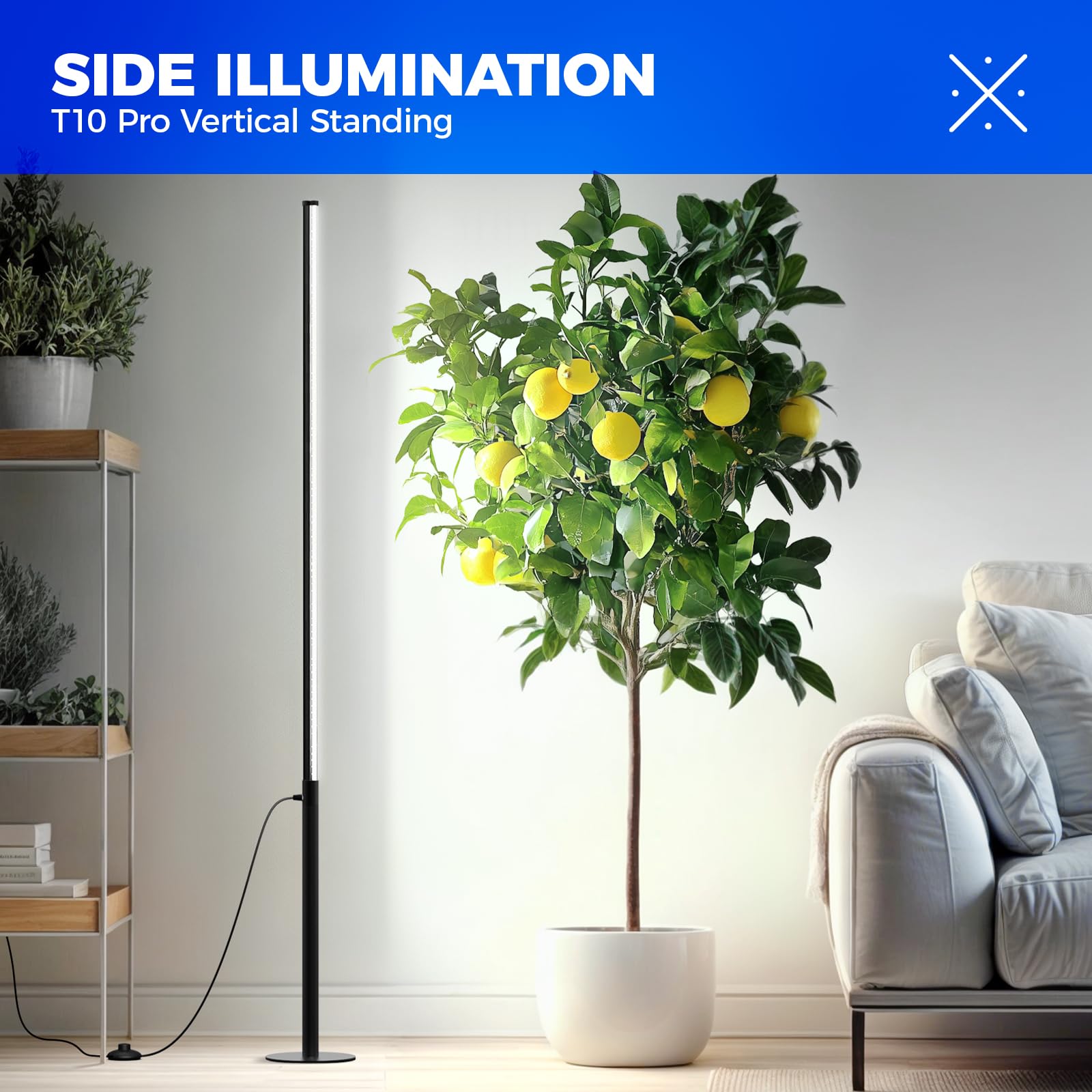Barrina T10 Pro Standing Grow Light with Timer, 42W, 5000K, Full Spectrum Vertical Tall Grow Lights for Indoor Plants, Wide Coverage, 4FT to 5.6FT Height with Foot Switch, for Flower and Tall Plants