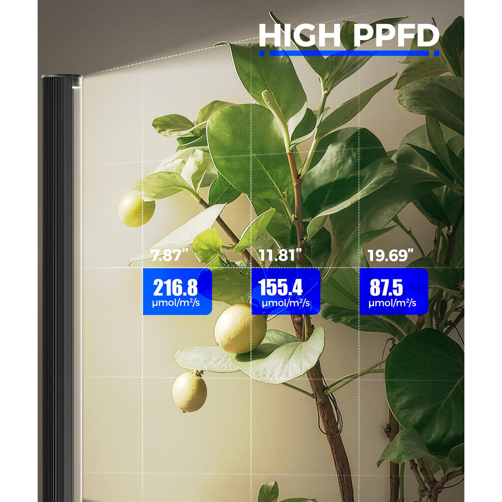 Barrina T1S Standing Grow Light for Indoor Plants with Timer, 65W 5000K High PPFD Tera Series Vertical Full Spectrum Grow Lights Adjustable Height 5FT-5.6FT, Foot Switch, Non-Glare Design, Silver