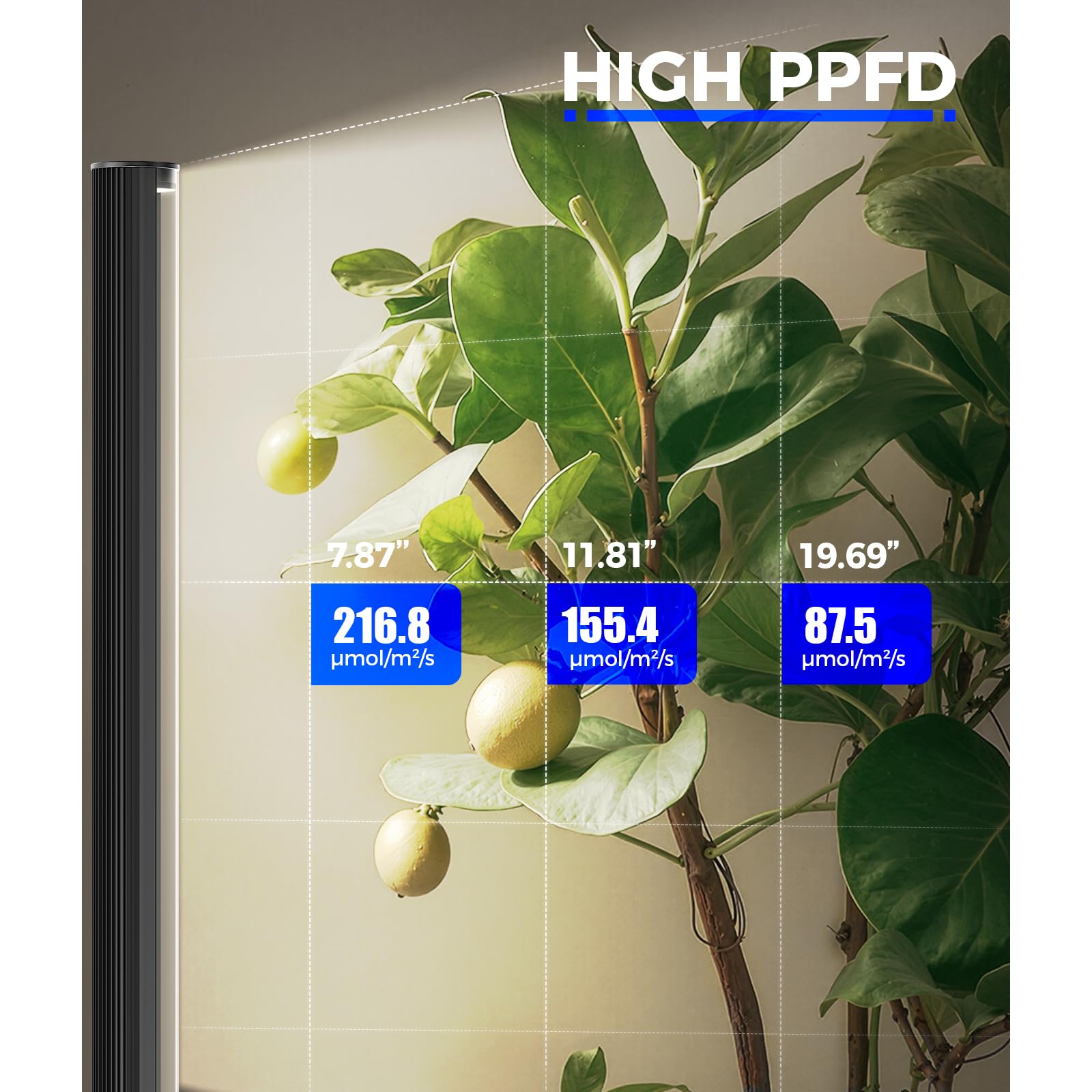 Barrina T1S Standing Grow Light for Indoor Plants with Timer, 65W 5000K High PPFD Tera Series Vertical Full Spectrum Grow Lights Adjustable Height 5FT-5.6FT, Foot Switch, Non-Glare Design, Silver