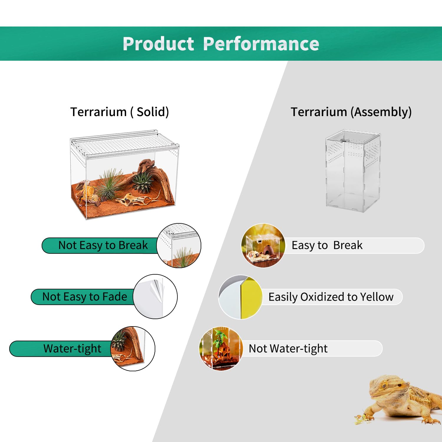 Reptile Terrarium,6.8" x 6.8"x 6" Reptile Breeding Box, Magnetic Acrylic Enclosure，for Tarantula，Hermit Crab，Jumping Spider，Iguana，Leopard Gecko，Bearded Dragon, Insect, Mantis, Scorpions.