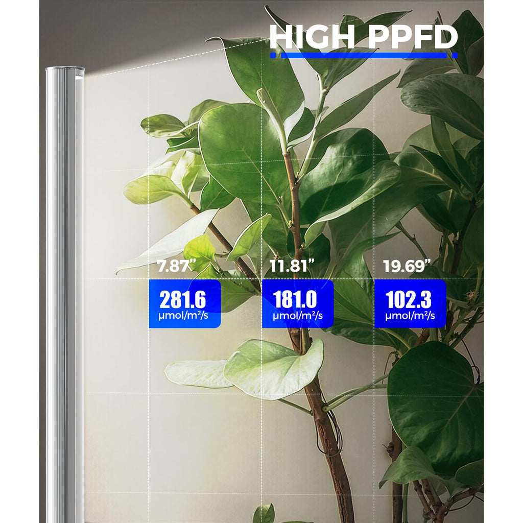 Barrina T1S Standing Grow Light for Indoor Plants with Timer, 65W 5000K High PPFD Tera Series Vertical Full Spectrum Grow Lights Adjustable Height 5FT-5.6FT, Foot Switch, Non-Glare Design, Silver