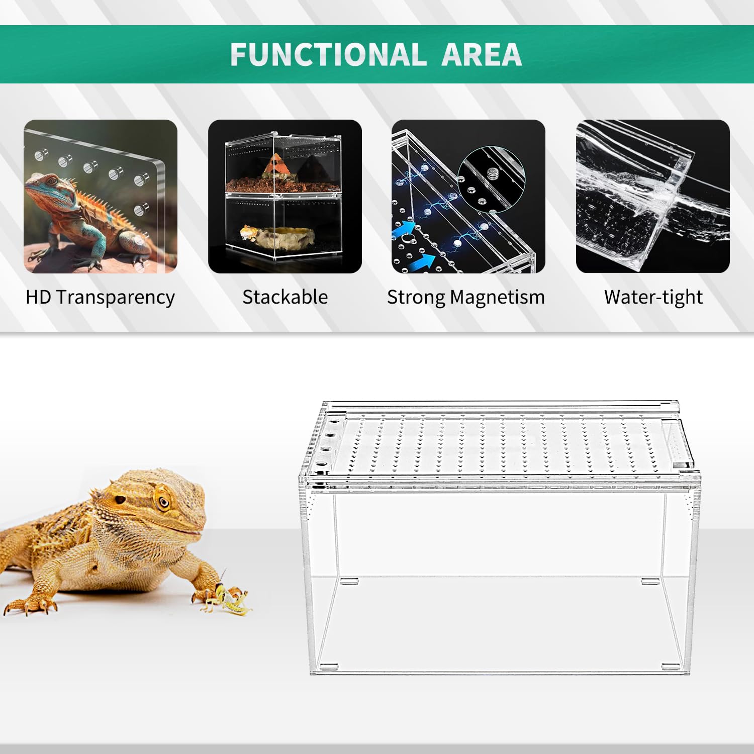 Reptile Terrarium,6.8" x 6.8"x 6" Reptile Breeding Box, Magnetic Acrylic Enclosure，for Tarantula，Hermit Crab，Jumping Spider，Iguana，Leopard Gecko，Bearded Dragon, Insect, Mantis, Scorpions.