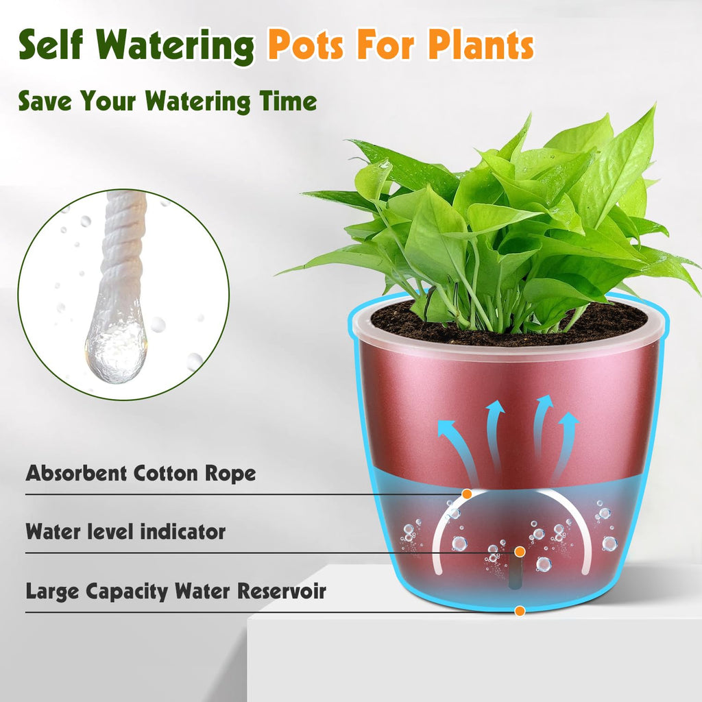 Self Watering Pots for Indoor Plants, 12-Pack 5'' Self Watering Planter with Drainage Holes, Small African Violet Pots with Water Level Indicator, Clear Wick Pot, White/Black