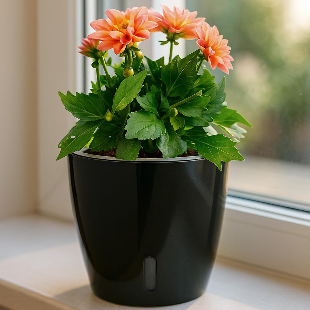 Self Watering Pots for Indoor Plants, 12-Pack 5'' Self Watering Planter with Drainage Holes, Small African Violet Pots with Water Level Indicator, Clear Wick Pot, White/Black