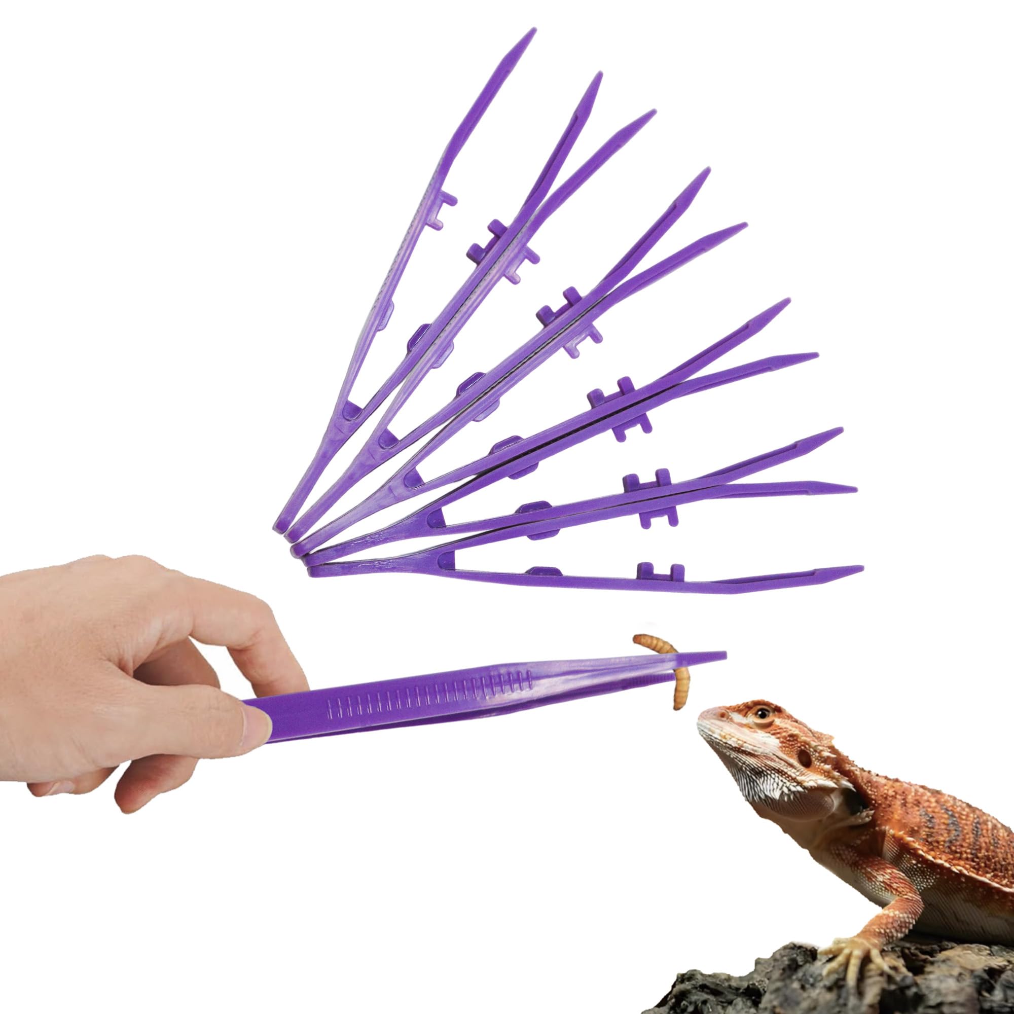 5-Pack Reptile Feeding Tongs Set - Hygienic Anti-Slip Purple Tweezers for Bearded Dragons, Lizards, Snakes, Aquariums & Small Animals(Five Colors to Choose from)