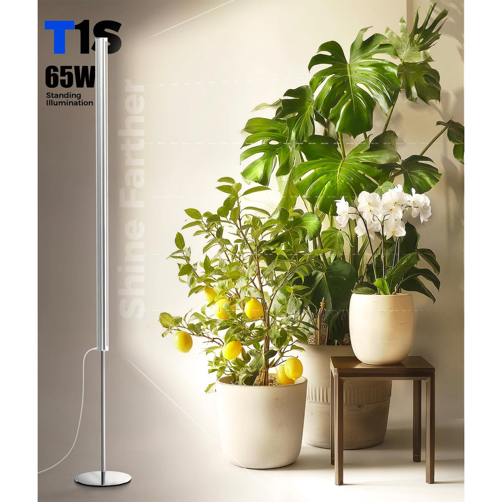 Barrina T1S Standing Grow Light for Indoor Plants with Timer, 65W 5000K High PPFD Tera Series Vertical Full Spectrum Grow Lights Adjustable Height 5FT-5.6FT, Foot Switch, Non-Glare Design, Silver