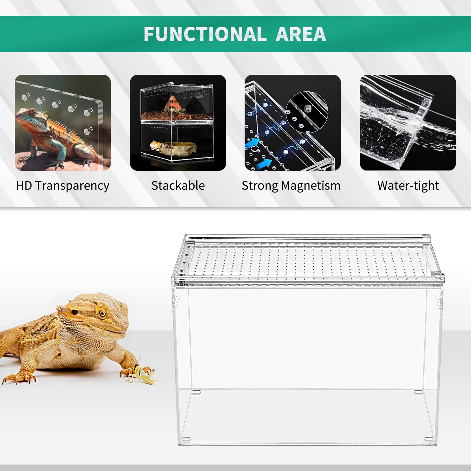 Reptile Terrarium,6.8" x 6.8"x 6" Reptile Breeding Box, Magnetic Acrylic Enclosure，for Tarantula，Hermit Crab，Jumping Spider，Iguana，Leopard Gecko，Bearded Dragon, Insect, Mantis, Scorpions.