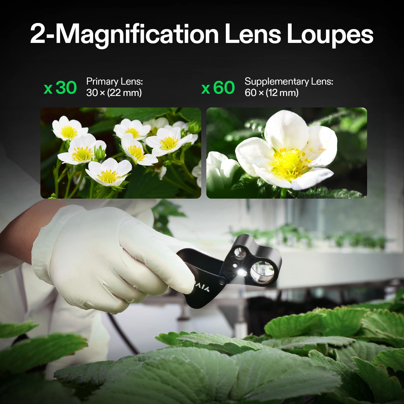 VIVOSUN 2-Pack Jewelry Loupe, 30X and 60X Foldable Magnifier UV/LED Lights, Desktop Loupe with LED & UV Lights for Jewelry, Gems, Watches, Coins, and Stamps, Black