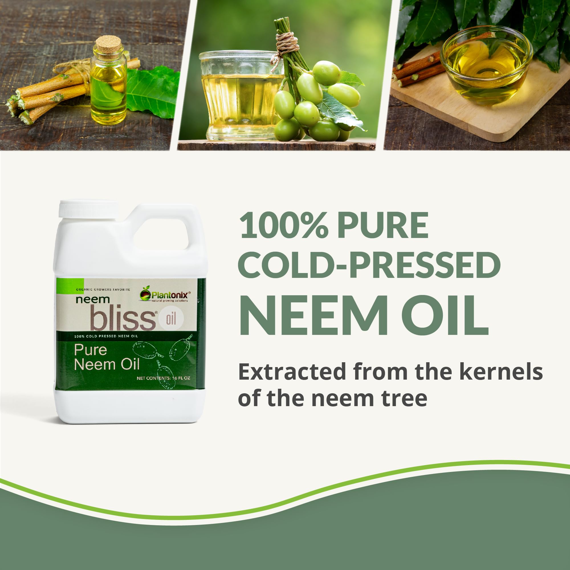 Neem Bliss (16 Fl Oz) - Pure Neem Oil Concentrate - 100% Cold Pressed Neem Oil - All-Natural Neem Oil Concentrate - Pure Neem Oil Extract - Unrefined Neem Oil for Hair - Neem Seed Oil Concentrate