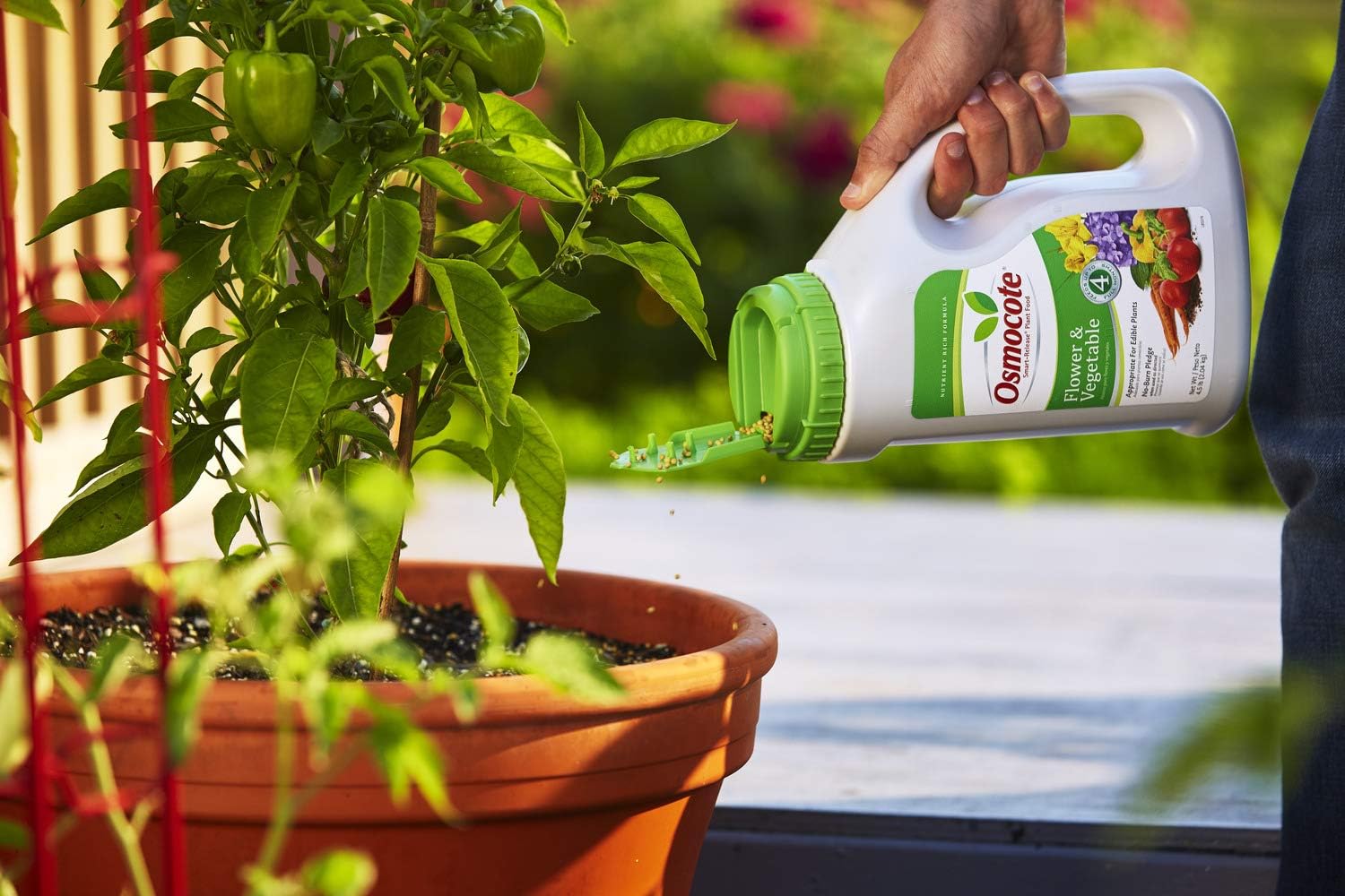 Osmocote Smart-Release Plant Food Plus Outdoor & Indoor1 - Granular, Continuous Release Plant Fertilizer with 11 Essential Nutrients, 2 lbs.