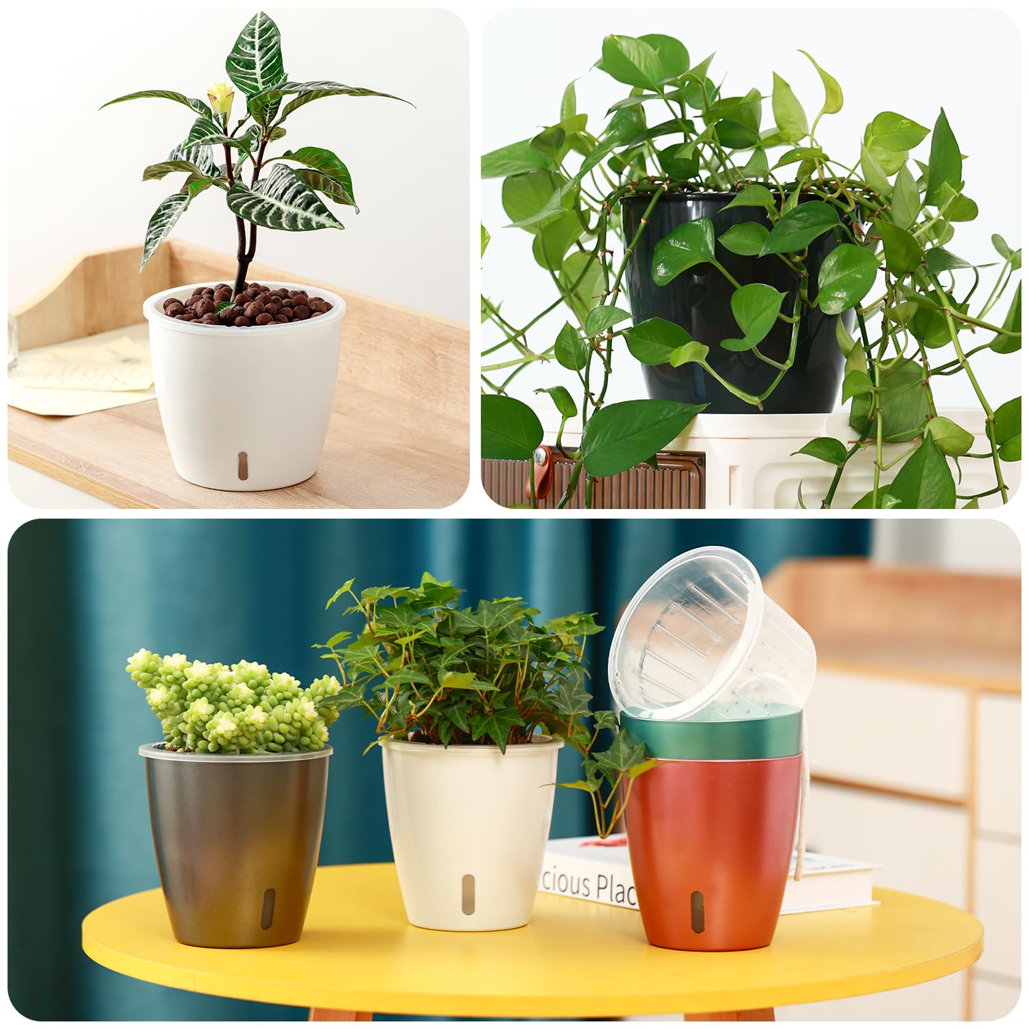 Self Watering Pots for Indoor Plants, 12-Pack 5'' Self Watering Planter with Drainage Holes, Small African Violet Pots with Water Level Indicator, Clear Wick Pot, White/Black