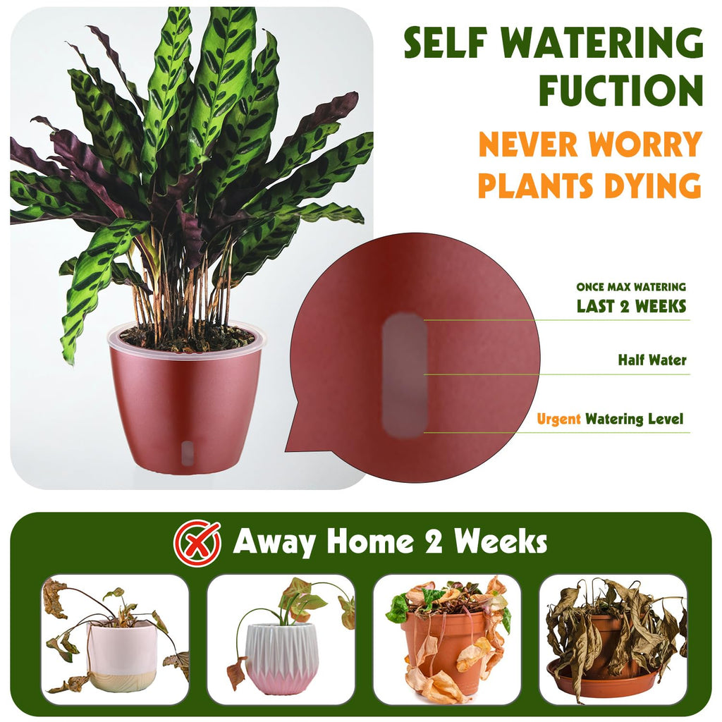 Self Watering Pots for Indoor Plants, 12-Pack 5'' Self Watering Planter with Drainage Holes, Small African Violet Pots with Water Level Indicator, Clear Wick Pot, White/Black