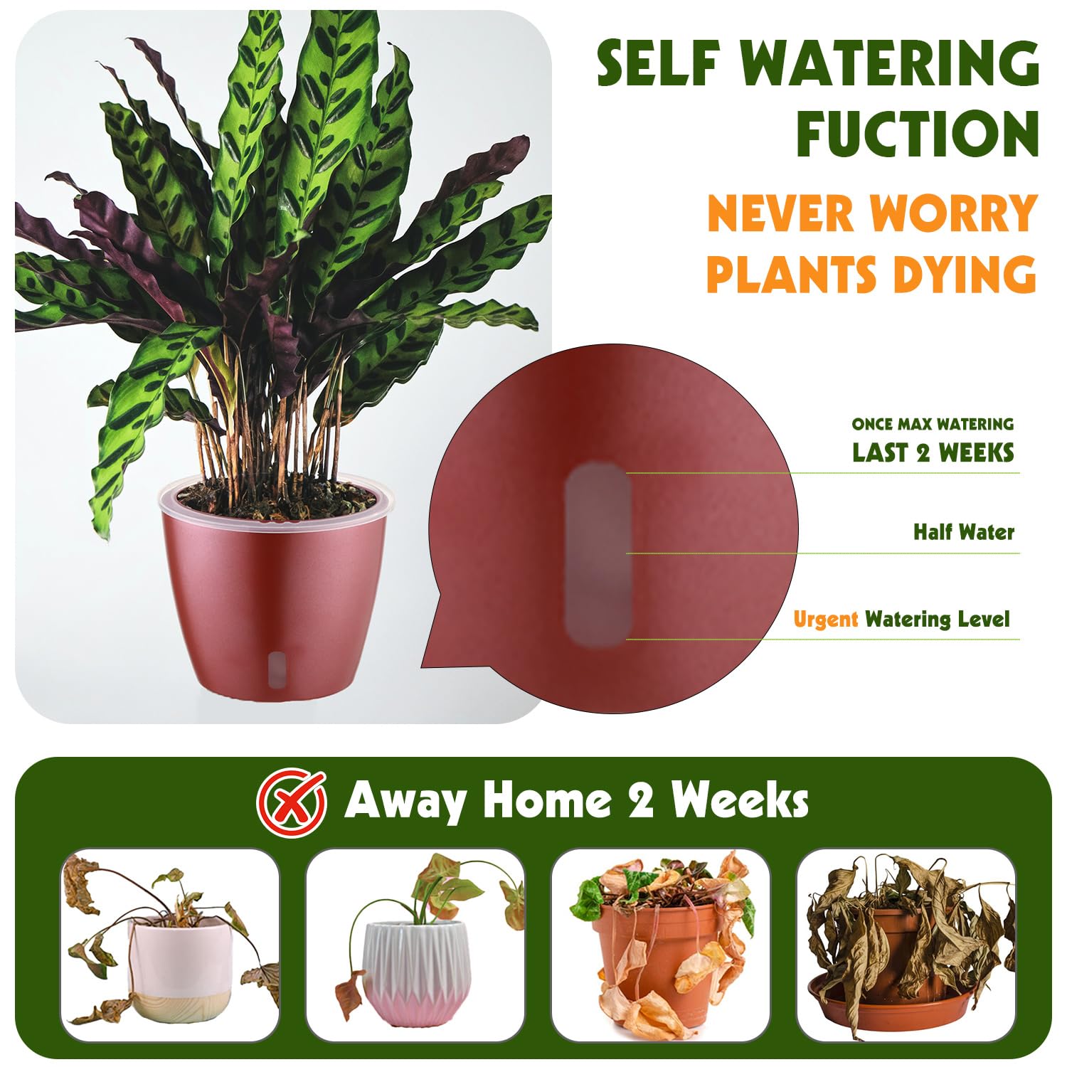 Self Watering Pots for Indoor Plants, 12-Pack 5'' Self Watering Planter with Drainage Holes, Small African Violet Pots with Water Level Indicator, Clear Wick Pot, White/Black