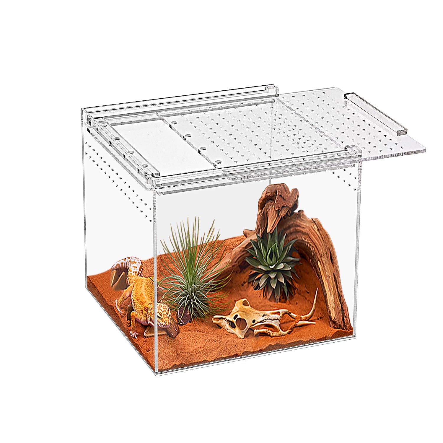 Reptile Terrarium kit,11"*6"*8" Reptile Breeding Box, Magnetic Acrylic Enclosure，for Tarantula，Hermit Crab，Jumping Spider，Iguana，Leopard Gecko，Bearded Dragon, Insect, Mantis, Scorpions.
