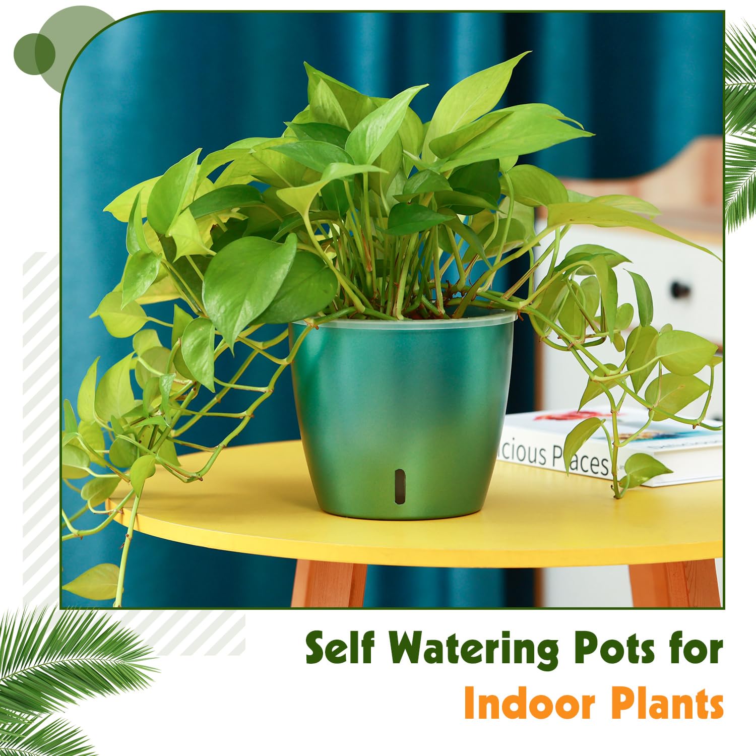 Self Watering Pots for Indoor Plants, 12-Pack 5'' Self Watering Planter with Drainage Holes, Small African Violet Pots with Water Level Indicator, Clear Wick Pot, White/Black