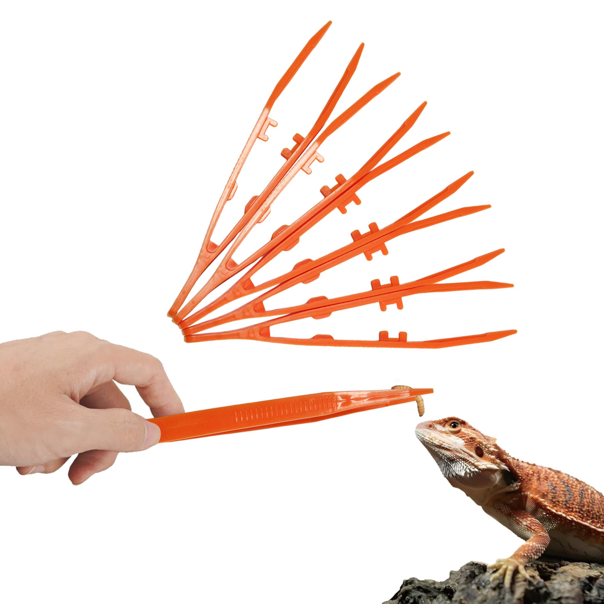 5-Pack Reptile Feeding Tongs Set - Hygienic Anti-Slip Purple Tweezers for Bearded Dragons, Lizards, Snakes, Aquariums & Small Animals(Five Colors to Choose from)