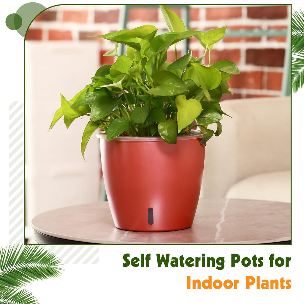 Self Watering Pots for Indoor Plants, 12-Pack 5'' Self Watering Planter with Drainage Holes, Small African Violet Pots with Water Level Indicator, Clear Wick Pot, White/Black