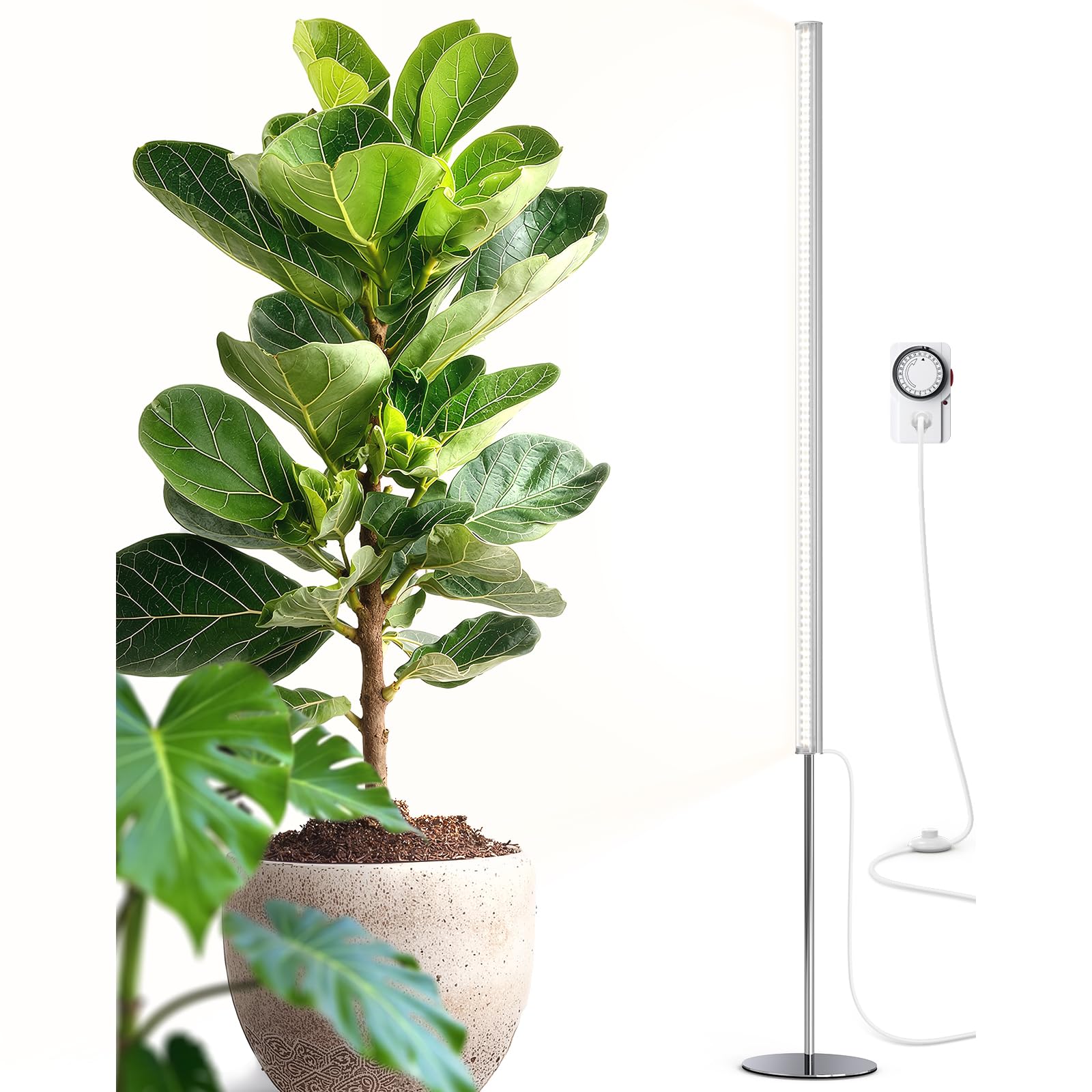 Barrina T1S Standing Grow Light for Indoor Plants with Timer, 65W 5000K High PPFD Tera Series Vertical Full Spectrum Grow Lights Adjustable Height 5FT-5.6FT, Foot Switch, Non-Glare Design, Silver