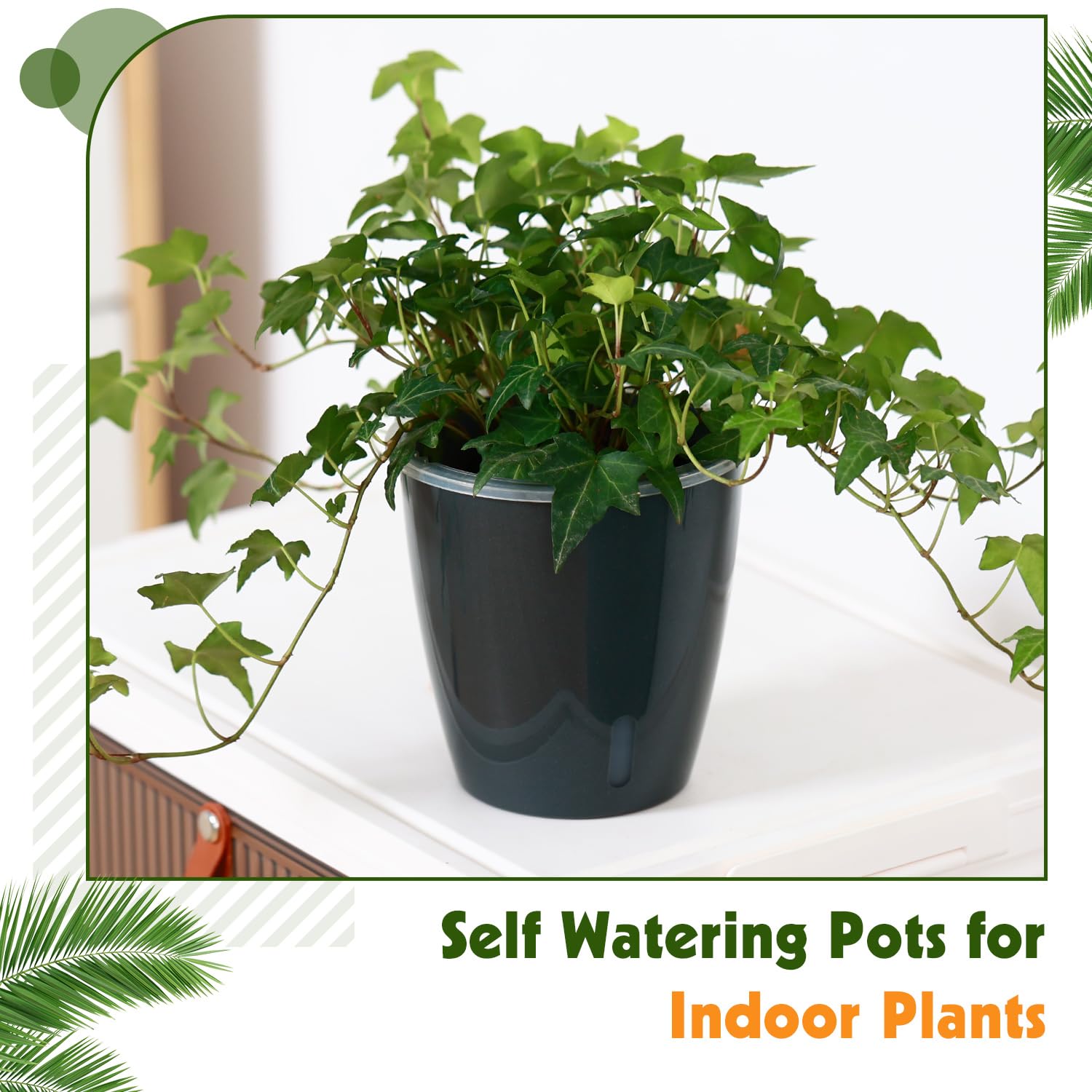 Self Watering Pots for Indoor Plants, 12-Pack 5'' Self Watering Planter with Drainage Holes, Small African Violet Pots with Water Level Indicator, Clear Wick Pot, White/Black