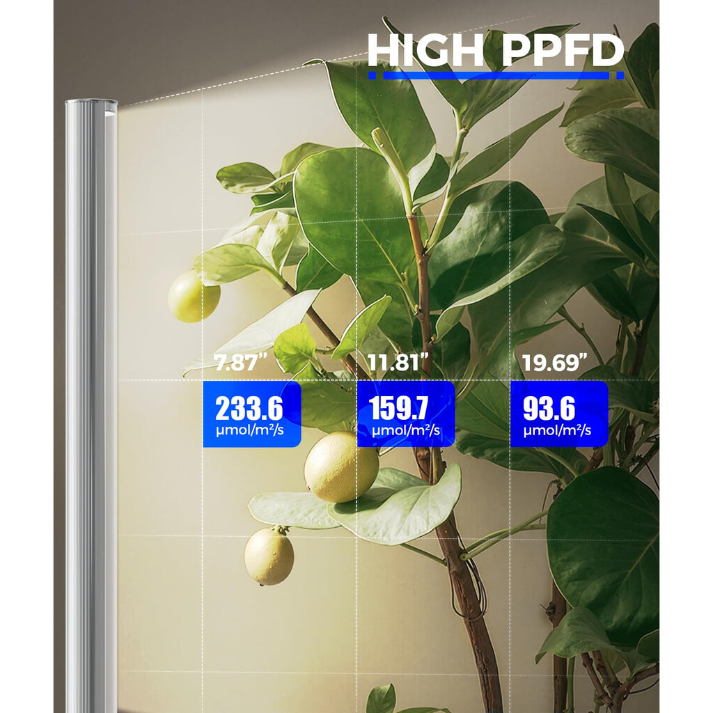 Barrina T1S Standing Grow Light for Indoor Plants with Timer, 65W 5000K High PPFD Tera Series Vertical Full Spectrum Grow Lights Adjustable Height 5FT-5.6FT, Foot Switch, Non-Glare Design, Silver