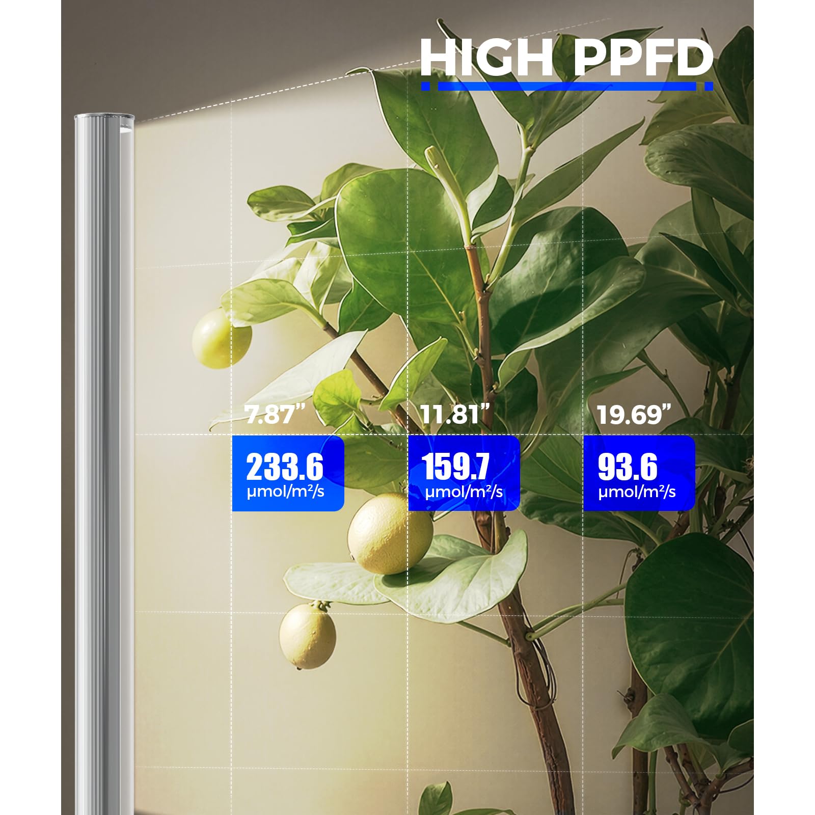 Barrina T1S Standing Grow Light for Indoor Plants with Timer, 65W 5000K High PPFD Tera Series Vertical Full Spectrum Grow Lights Adjustable Height 5FT-5.6FT, Foot Switch, Non-Glare Design, Silver