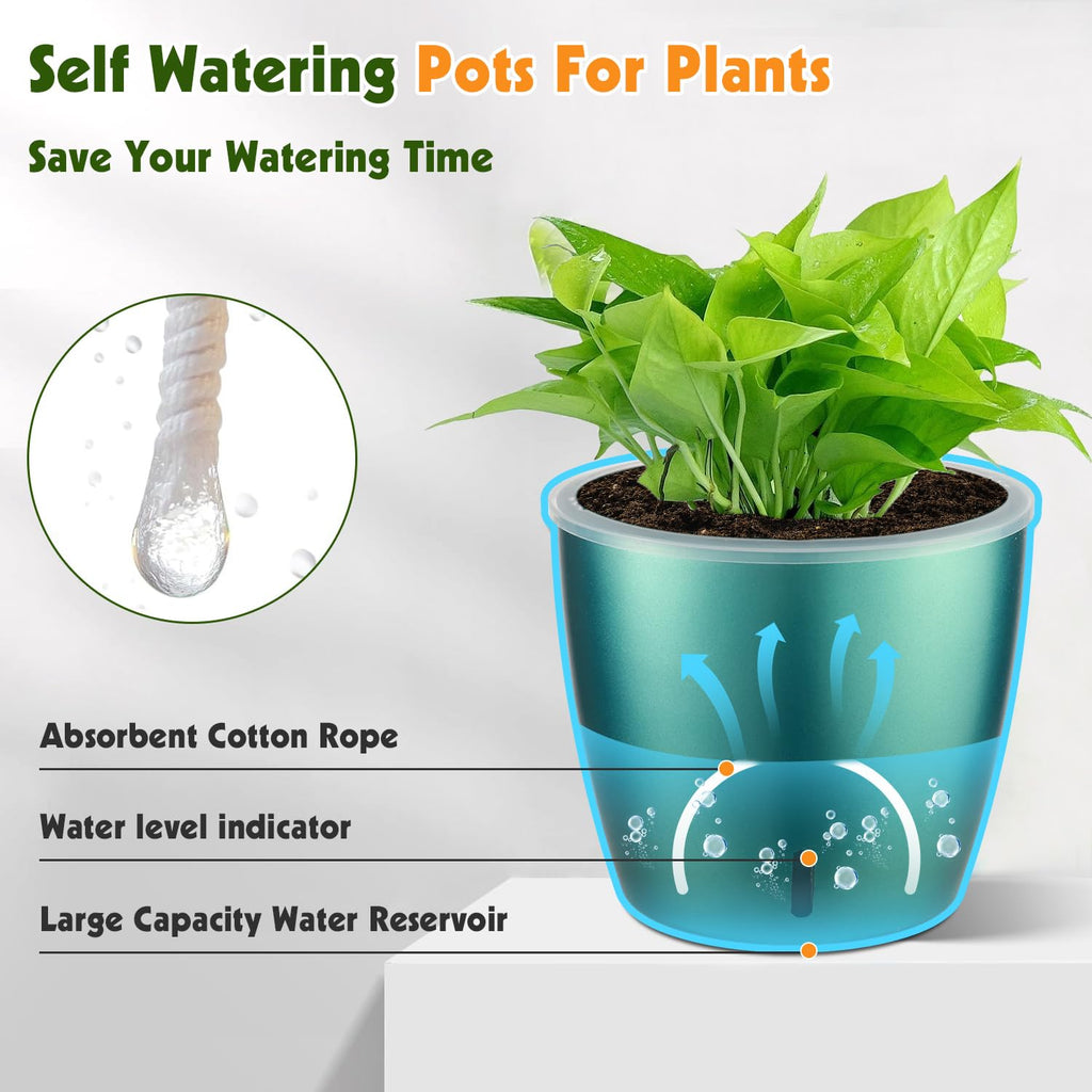 Self Watering Pots for Indoor Plants, 12-Pack 5'' Self Watering Planter with Drainage Holes, Small African Violet Pots with Water Level Indicator, Clear Wick Pot, White/Black