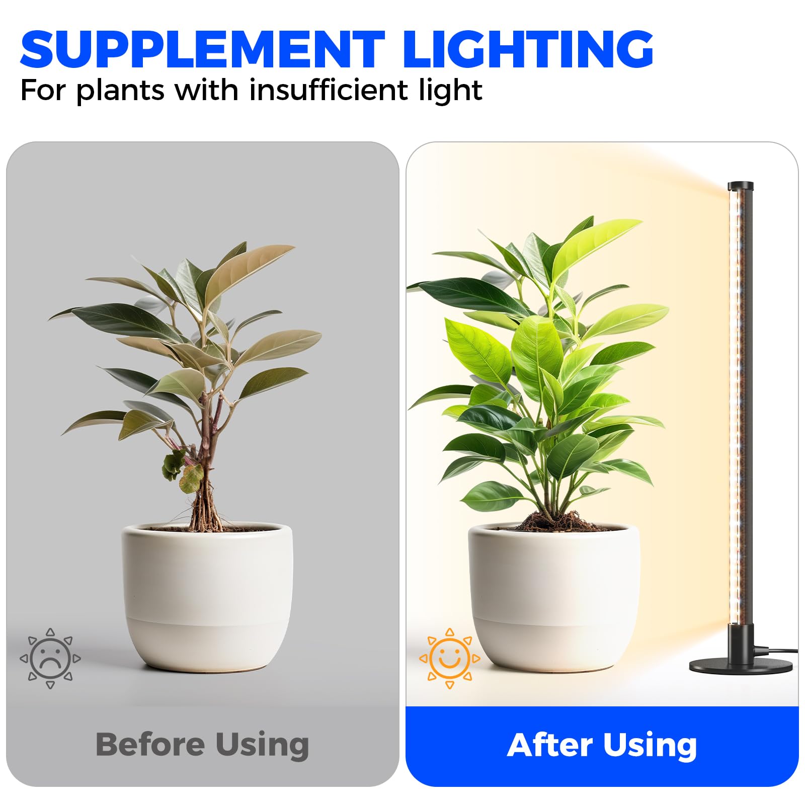 Barrina T1S Standing Grow Light for Indoor Plants with Timer, 65W 5000K High PPFD Tera Series Vertical Full Spectrum Grow Lights Adjustable Height 5FT-5.6FT, Foot Switch, Non-Glare Design, Silver