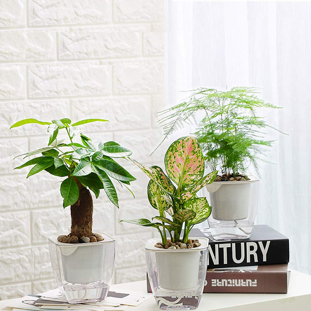 Self Watering Planter , FENGZHITAO African Violet Pots, Clear Plastic Automatic-Watering Planter Flower Pot Square Plant Pot for All House Plants, Succulents, Herb, African Violets (3 Packs Small)