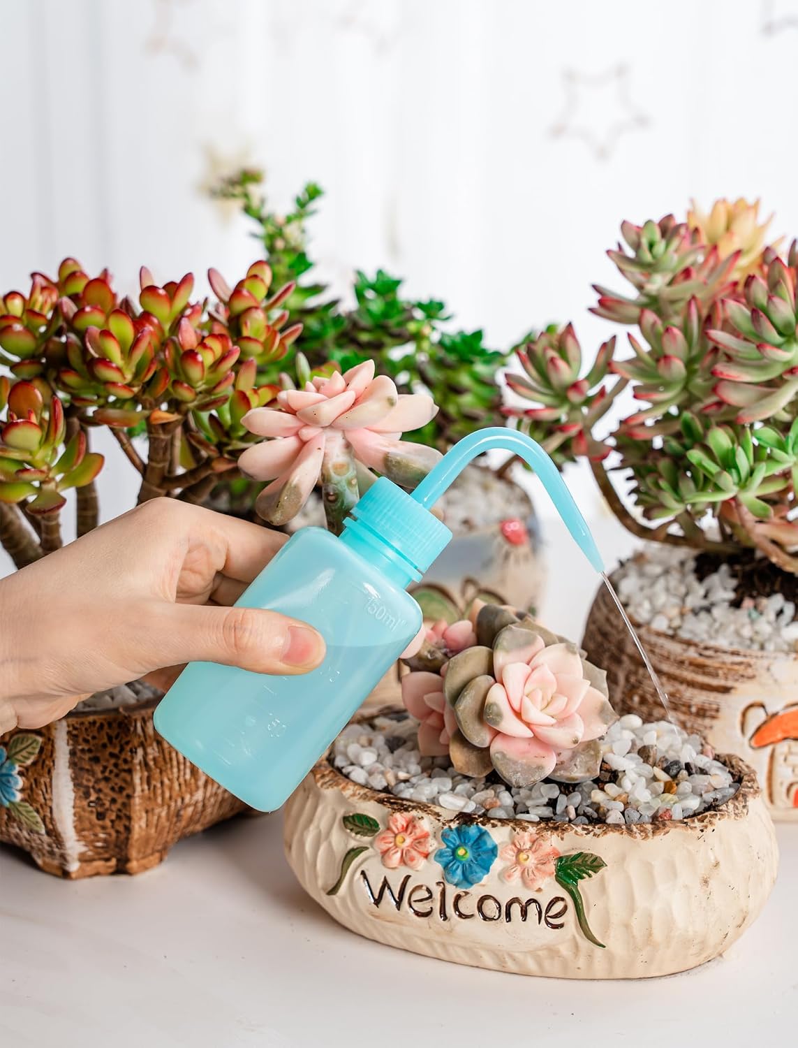 Melphoe Tattoo Wash Bottle Squeeze, 2Pcs 250ml Water Squirt Bottle Succulent Watering, Safety Rinse Watering Tools, Tattoo Supplies, Irrigation Sprinkling Can Wash Plant (Black)