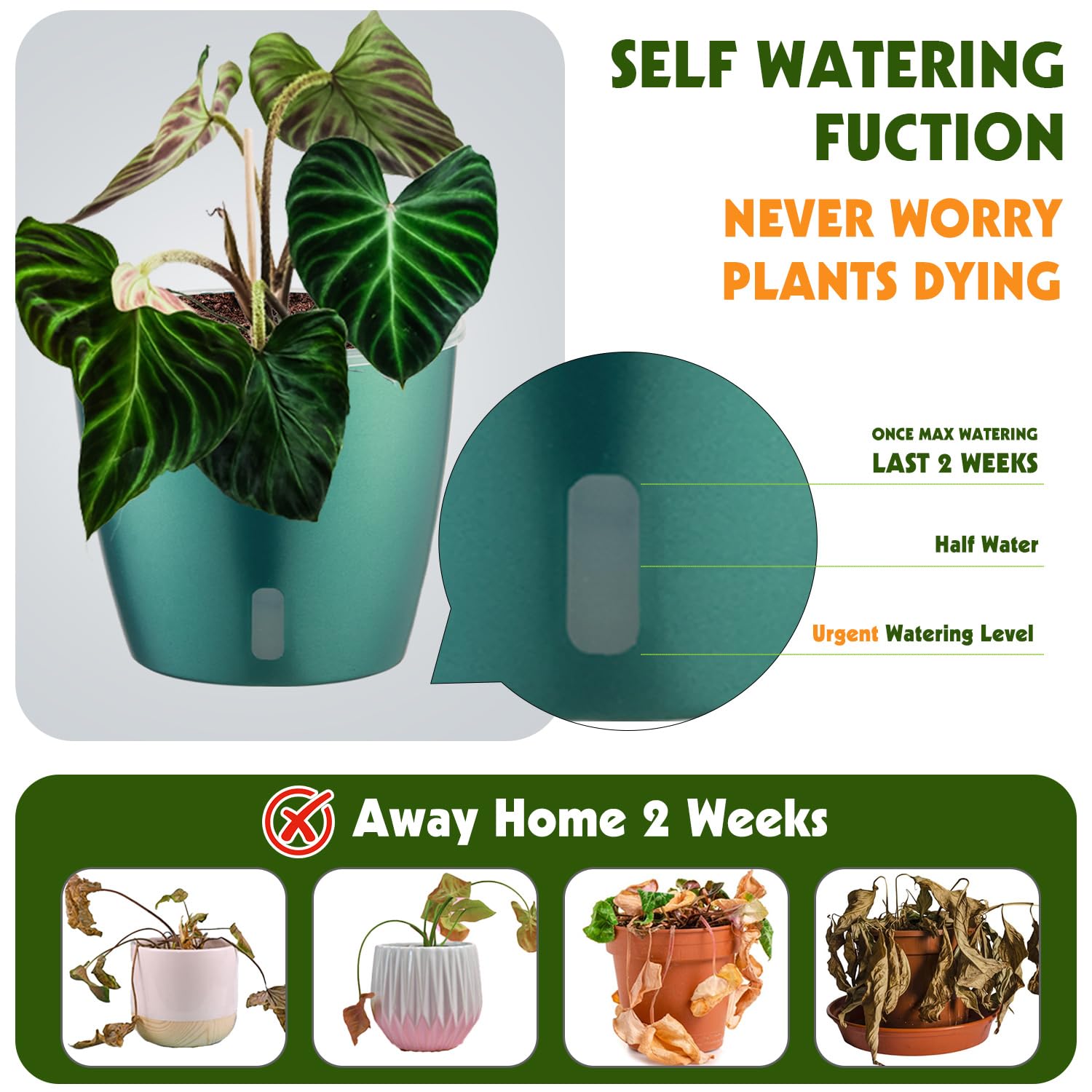 Self Watering Pots for Indoor Plants, 12-Pack 5'' Self Watering Planter with Drainage Holes, Small African Violet Pots with Water Level Indicator, Clear Wick Pot, White/Black
