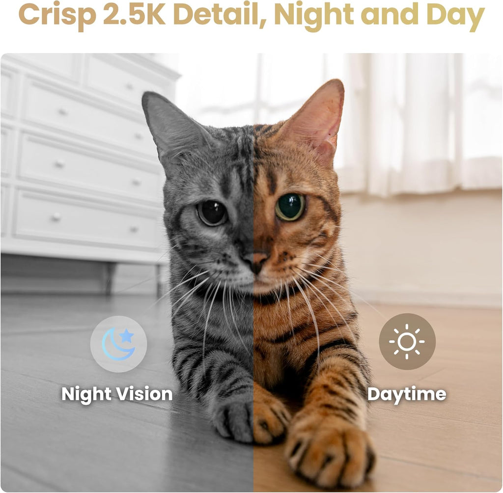 Enabot EBO Air 2S Mobile Robot Camera: 2.5K FamilyBot with Two-Way Video | Whole-Home Mobility, Custom Facial Image, Auto-Recharge, Night Vision, Long Distance Gift for Family/Pets