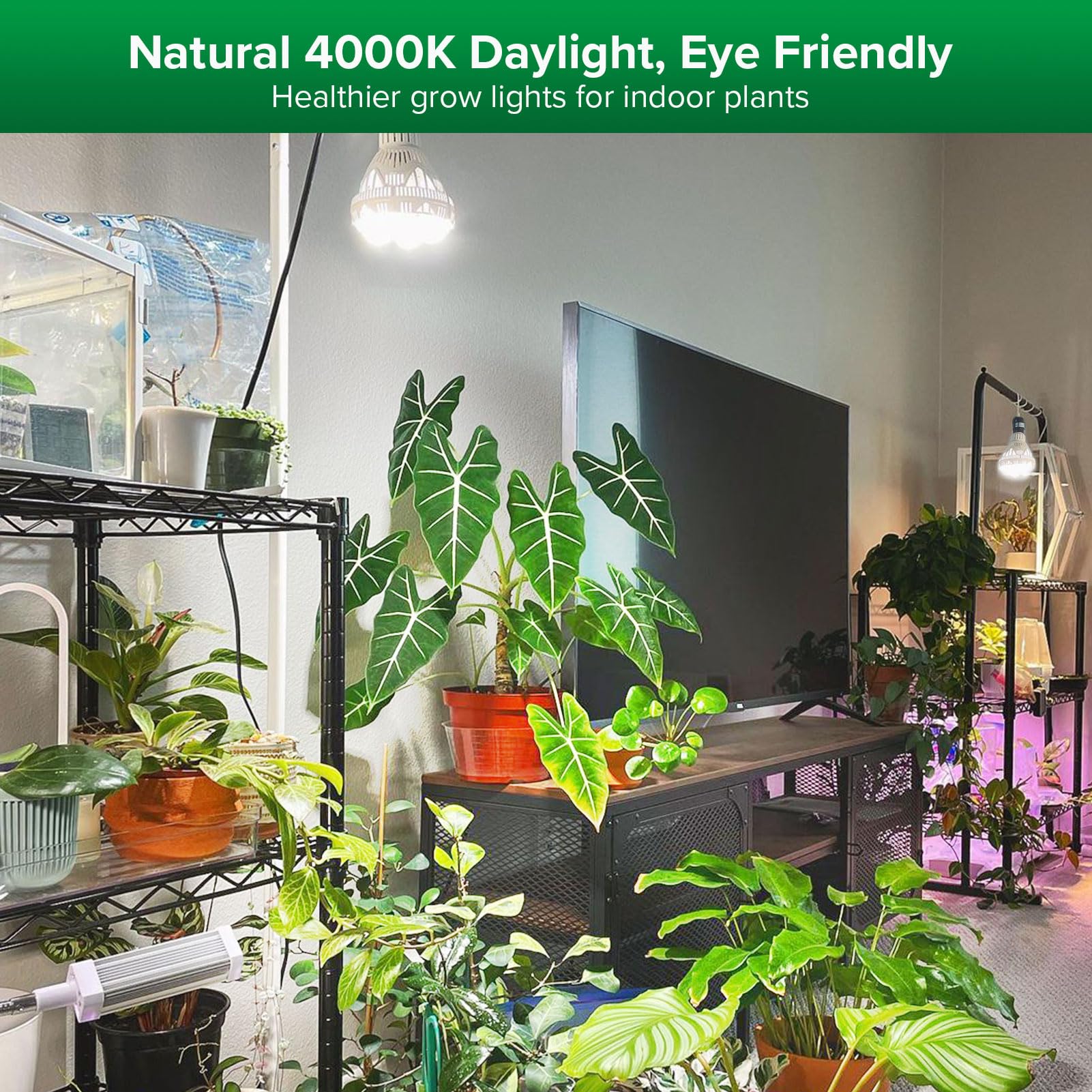 SANSI Grow Lights for Indoor Plants, Full Spectrum 24W Grow Light Bulbs (300 Watt Equivalent) with Optical Lens for High PPFD, Natural Daylight Efficiency Plant Lights for Indoor Growing Seed Starting
