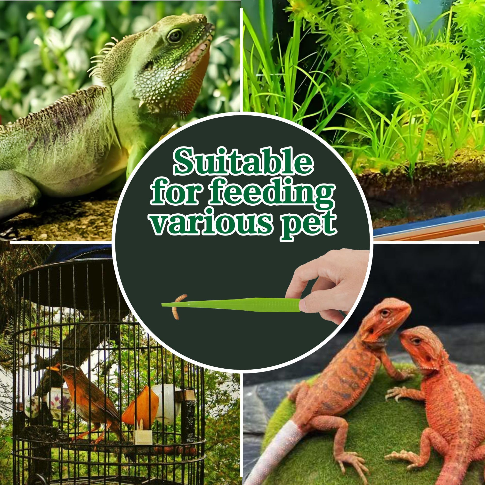 5-Pack Reptile Feeding Tongs Set - Hygienic Anti-Slip Purple Tweezers for Bearded Dragons, Lizards, Snakes, Aquariums & Small Animals(Five Colors to Choose from)