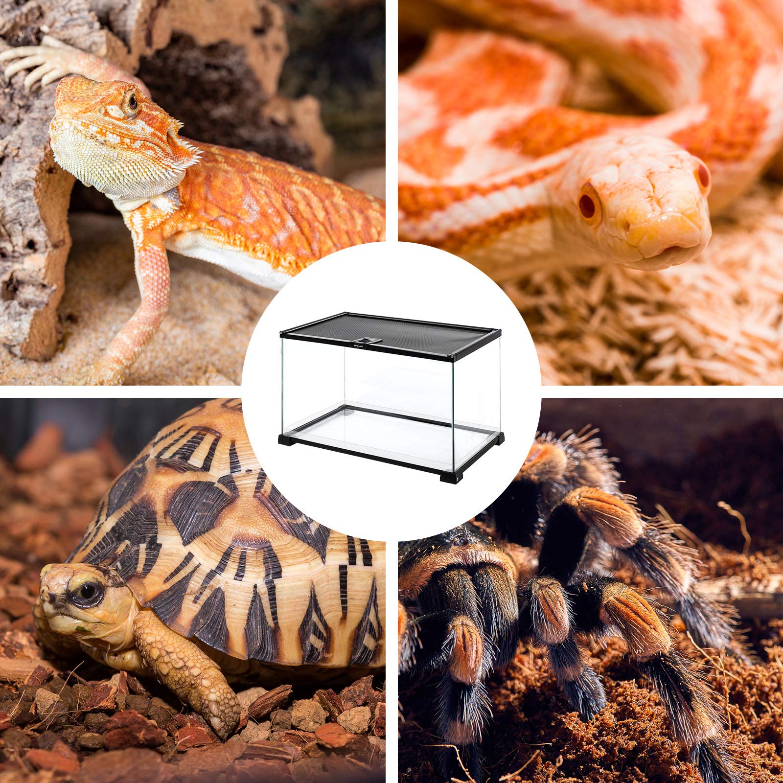 REPTIZOO Small Glass Tank 8 Gallon, Top Opening Terrarium 12" x 12" x 12" Leopard Gecko Tarantula Young Lizard Hermit Crab Frog Insects Breeding Tank
