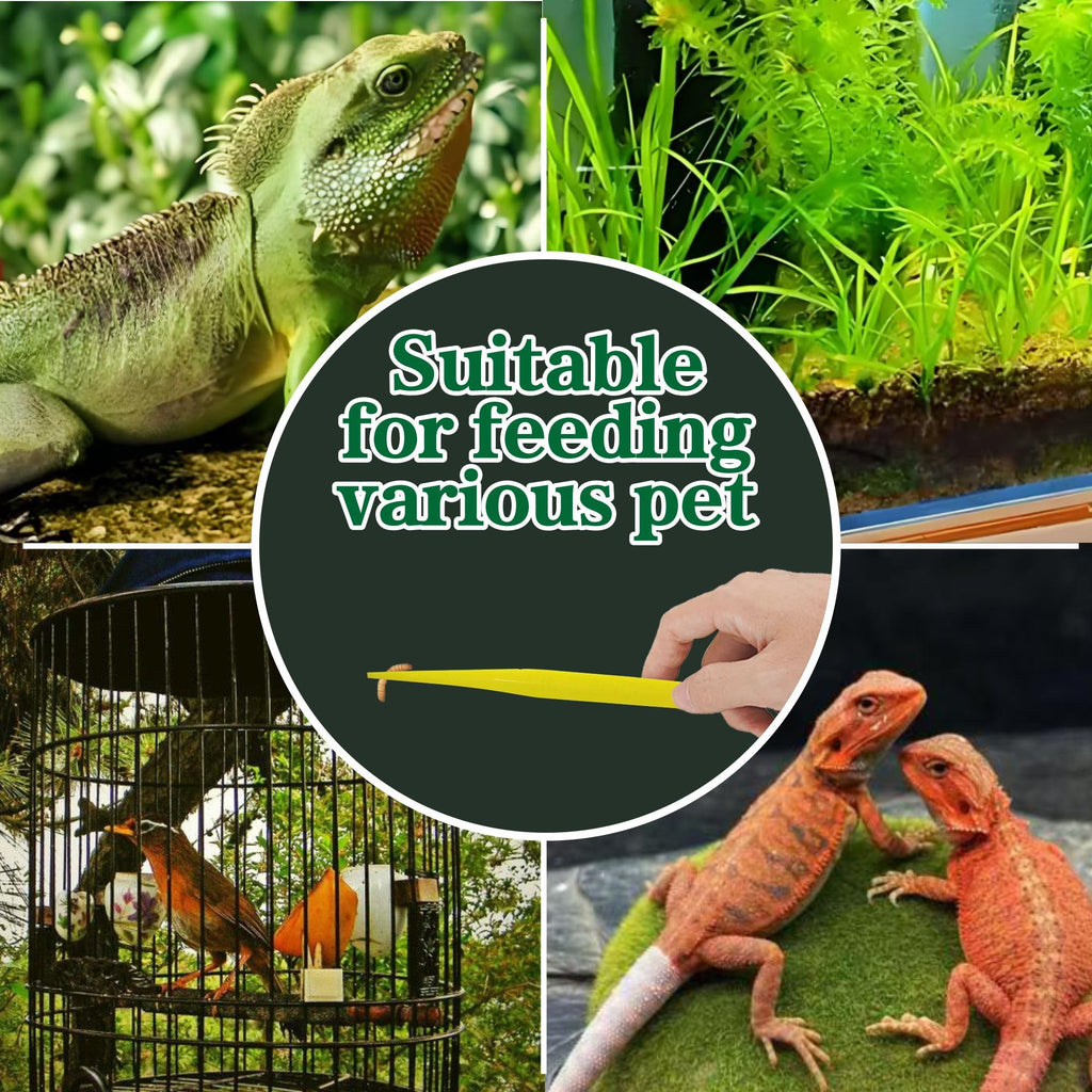 5-Pack Reptile Feeding Tongs Set - Hygienic Anti-Slip Purple Tweezers for Bearded Dragons, Lizards, Snakes, Aquariums & Small Animals(Five Colors to Choose from)